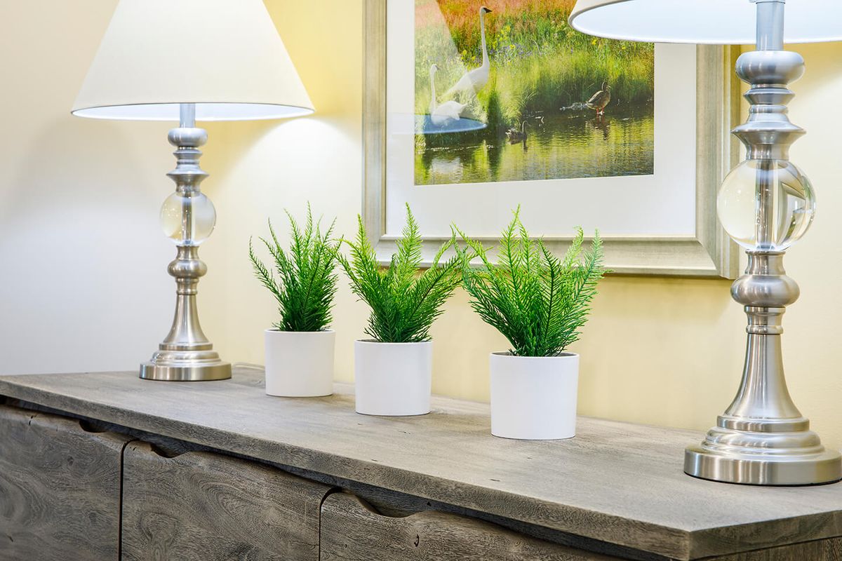 A stylish tabletop arrangement featuring three potted plants, a lamp, and framed artwork.