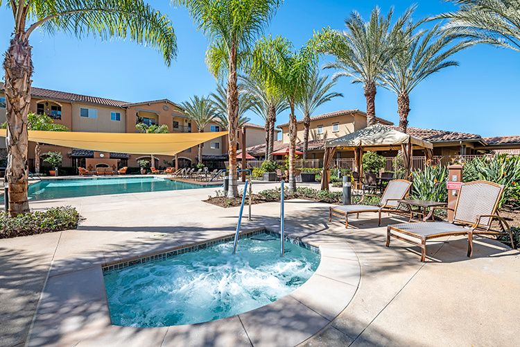 A sunny resort with a swimming pool, hot tub, and palm trees.
