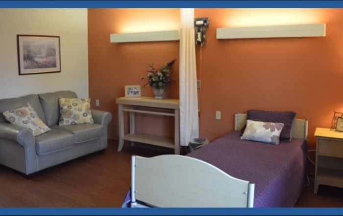A cozy hospital room with a bed, sofa, and decorative elements.
