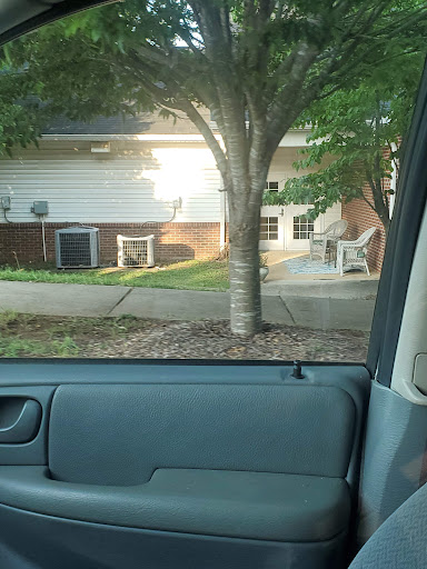A view from inside a car showing a tree and a building with chairs on the lawn.