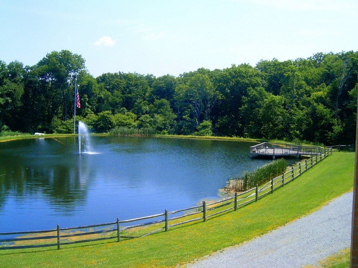 A serene pond with a fountain and bridge surrounded by lush greenery.