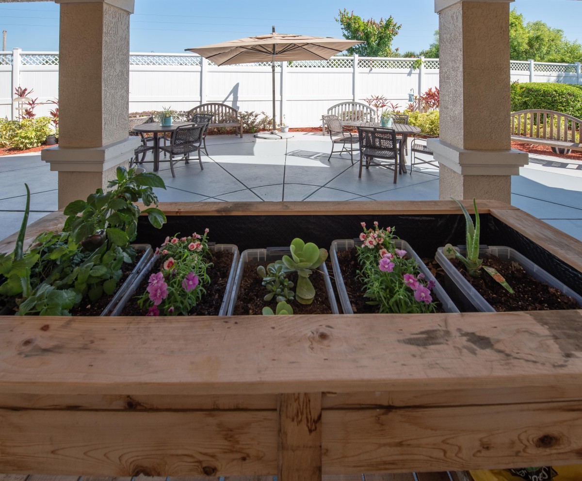 A beautiful backyard patio featuring planters with blooming flowers and outdoor seating shaded by umbrellas.