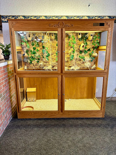 A beautifully designed wooden terrarium featuring living plants and spaces for reptiles, showcasing a natural environment.