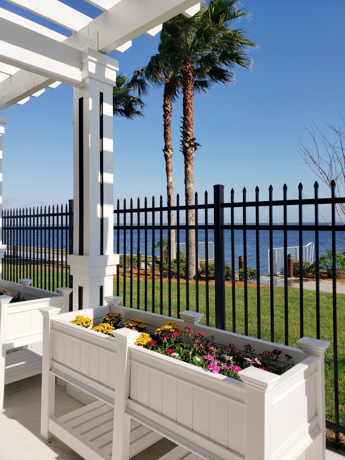 A scenic garden with colorful flowers overlooks a tranquil sea, framed by palm trees and a black metal fence.