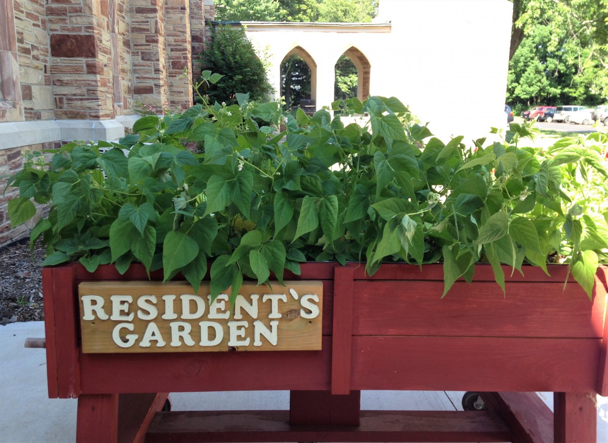 A raised planter labeled 'Resident's Garden' filled with lush green plants.