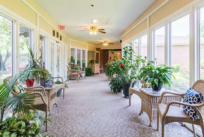 A bright and inviting hallway filled with lush indoor plants and wicker furniture, illuminated by natural light.