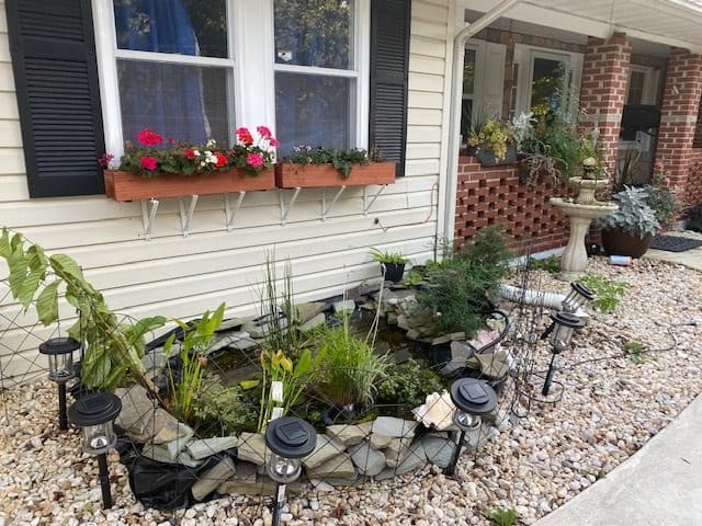 A small garden pond with surrounding plants and landscape lighting in a front yard.