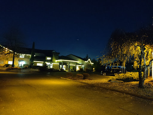 A scenic view of a well-lit residential area at night.