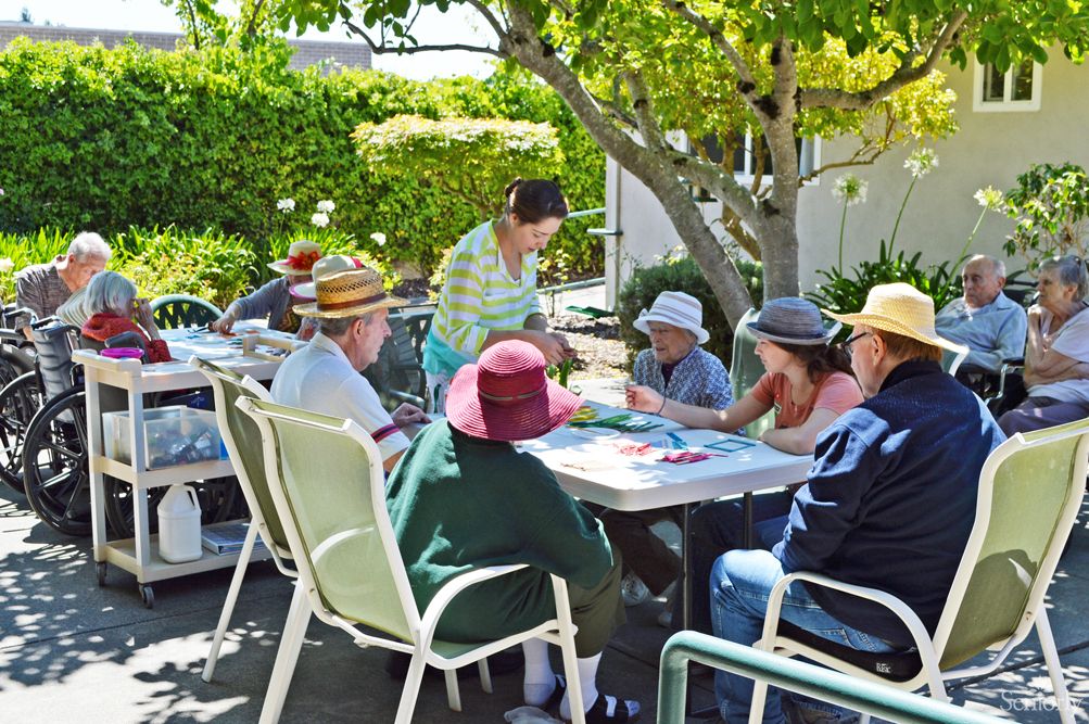 A group of seniors enjoying an outdoor activity under a tree.