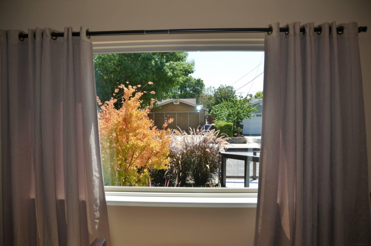 A view of a garden with colorful plants from inside a room through a window.