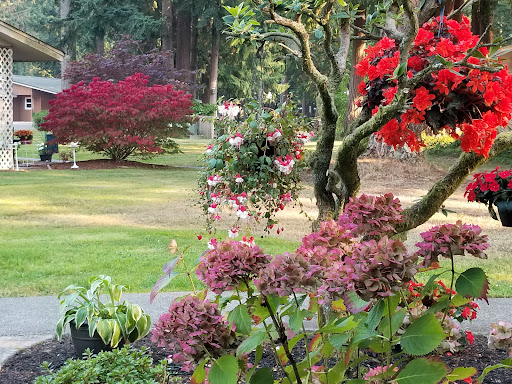 A serene garden scene featuring vibrant flowers and lush greenery.
