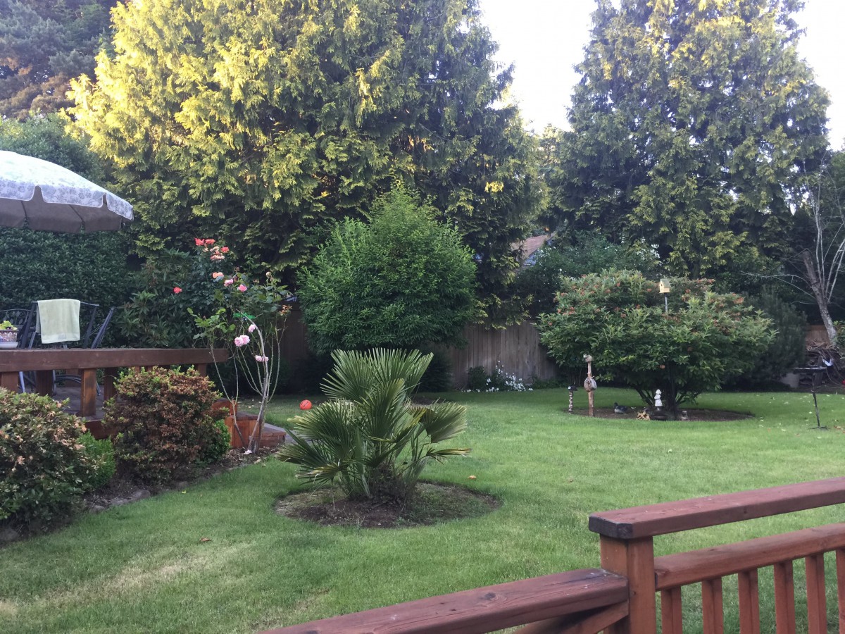 A peaceful backyard garden with lush greenery and a wooden deck in view.