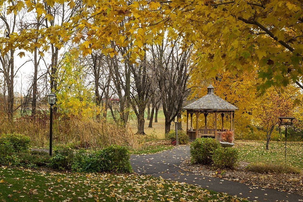A peaceful park scene in autumn, featuring a gazebo surrounded by vibrant yellow foliage.