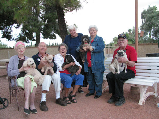 A joyful gathering of seniors with their beloved dogs in a sunny park.