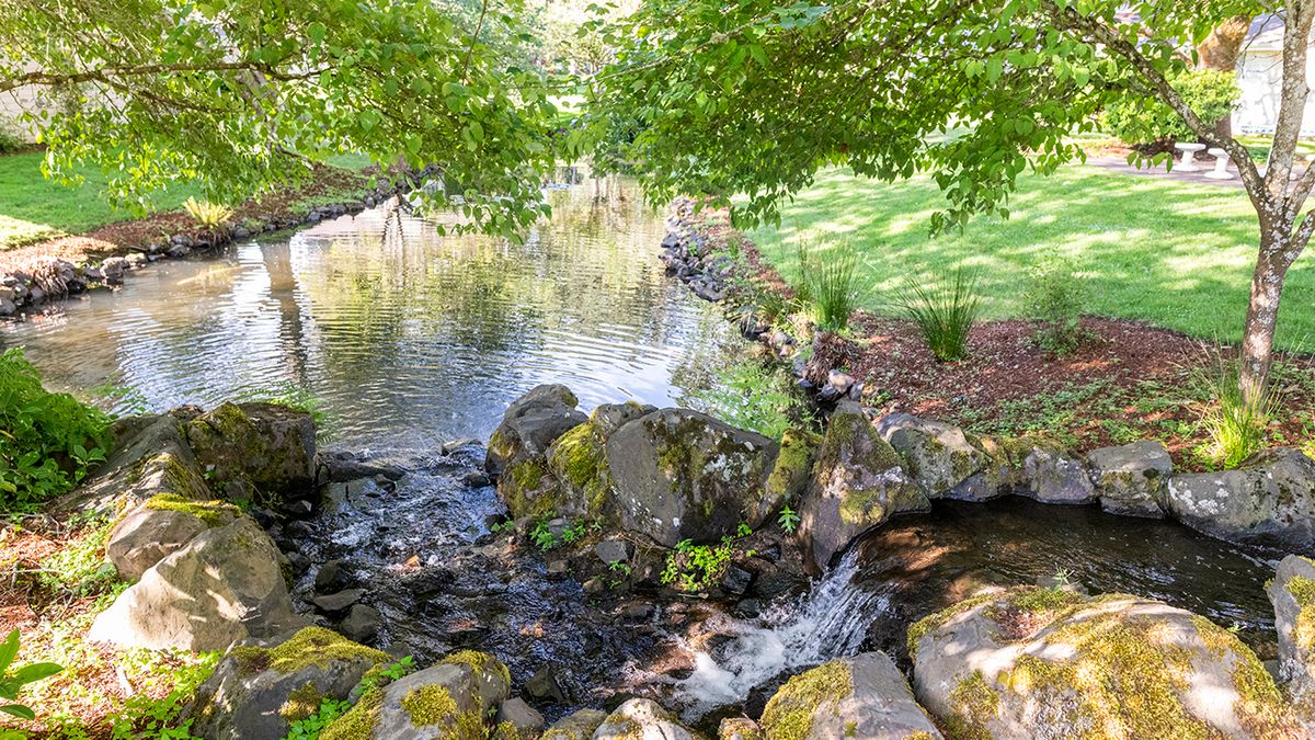 A tranquil scene of a small stream flowing over rocks under the shade of green trees.