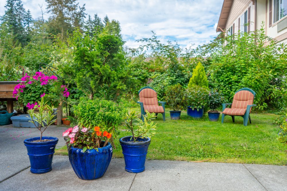 A serene garden setting with vibrant potted plants and comfortable seating.
