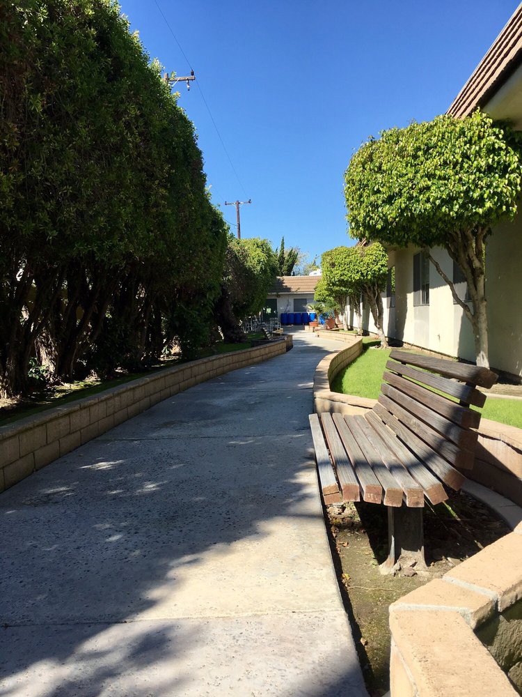 A sunny walkway lined with benches and trimmed trees alongside a building.
