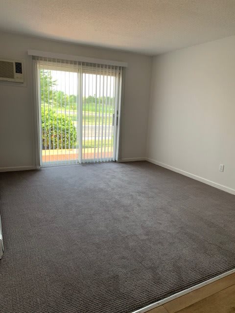 An empty room with carpet flooring and a sliding glass door leading to an outdoor area.