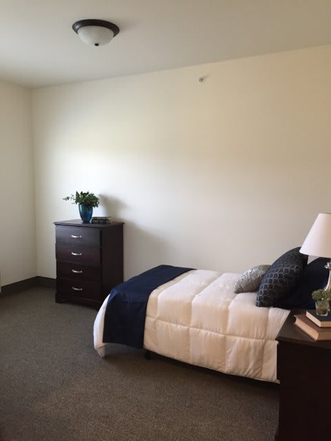 A minimalist bedroom featuring a single bed, a dresser with a plant, and neutral color tones.