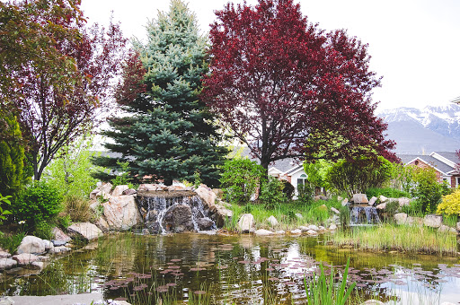 A serene view of a garden pond surrounded by lush trees and a gentle waterfall.