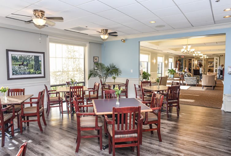 A bright dining area with wooden tables and chairs, featuring large windows and potted plants.