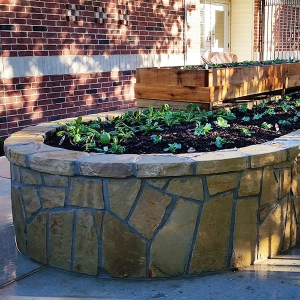 A stone raised garden bed filled with plants, situated in front of a brick wall.