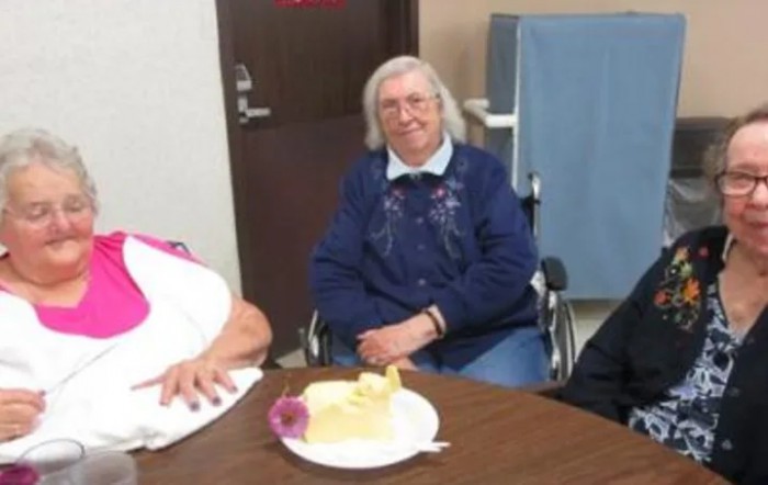 An elderly woman sitting in a wheelchair at a table with a slice of cake, possibly celebrating an occasion.