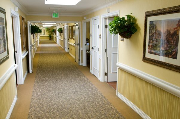 A well-lit hallway with carpet flooring, doors on either side, and decorative plants.