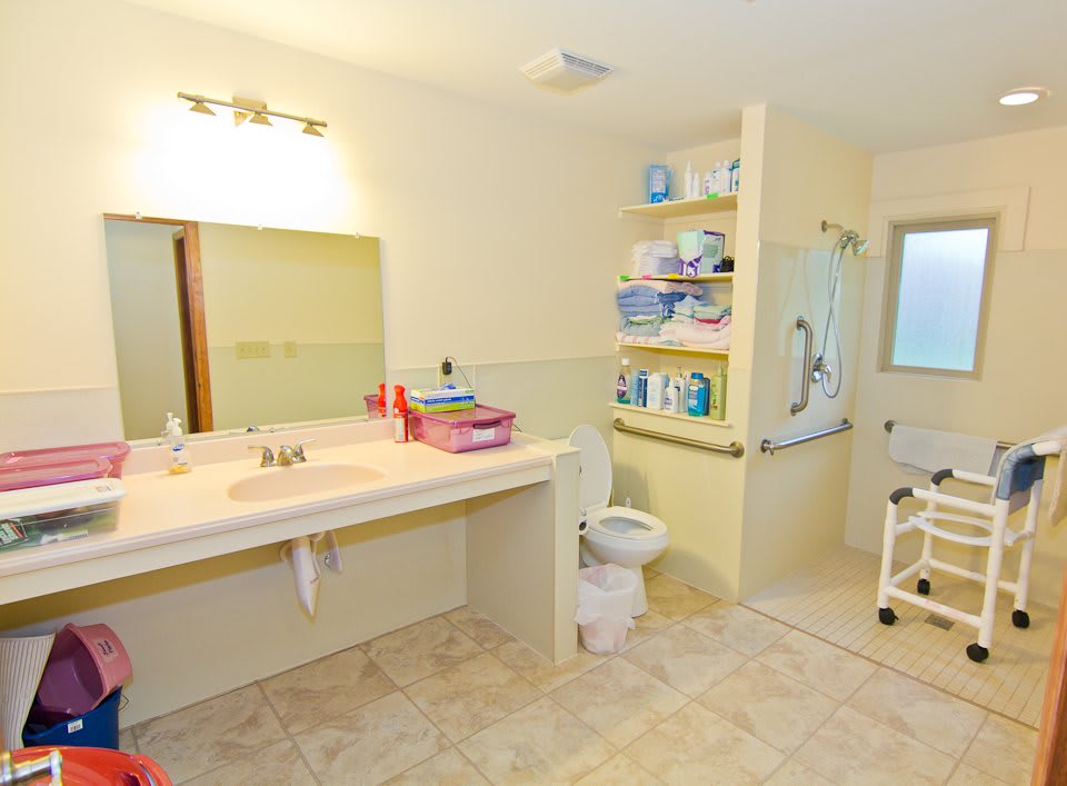 An accessible bathroom with a wide counter, toilet, and shower equipped with grab bars and storage shelves.