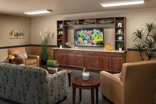 A cozy living room setup featuring comfortable seating, a television, and decorative shelves with plants.