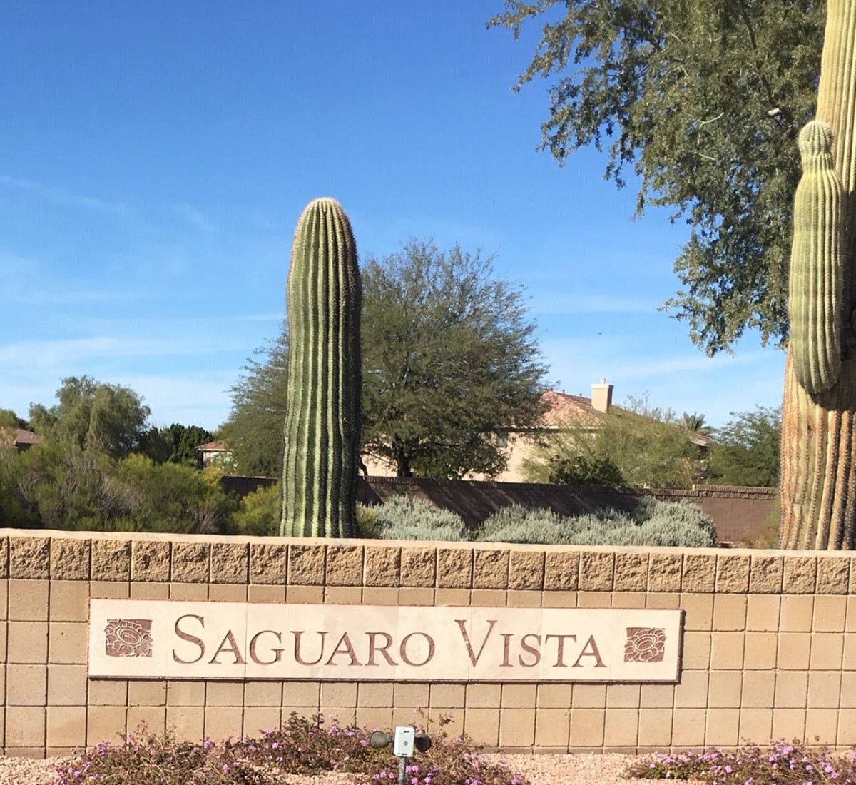 Entrance sign for Saguaro Vista accompanied by cacti in a desert setting.