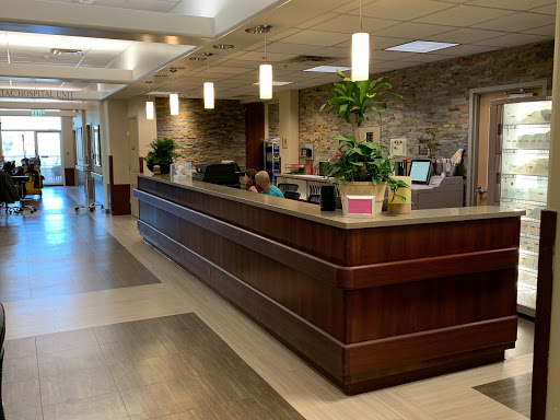 A modern reception area with a sleek wooden front desk and decorative plants.