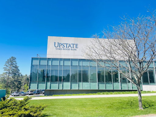 A modern glass-fronted building with the Upstate logo, surrounded by greenery and a clear blue sky.