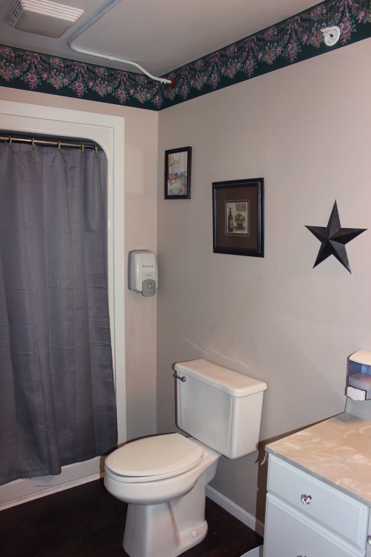 A small bathroom featuring a toilet, shower curtain, and wall decorations including framed pictures and a star.