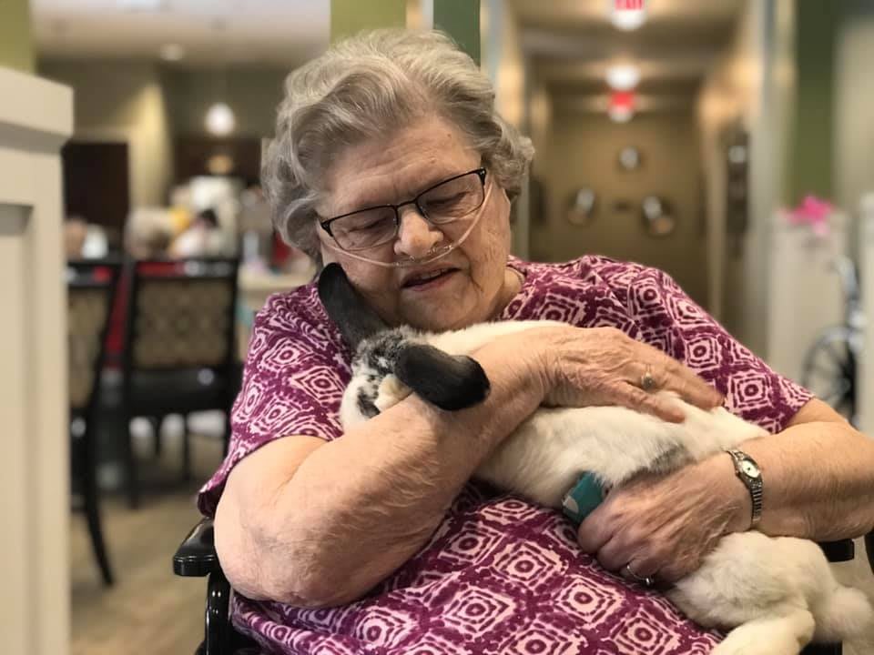 An elderly woman gently holding and cuddling a rabbit indoors.