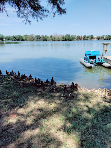 A serene view of a lake with ducks resting by the shore and a blue boat docked nearby.