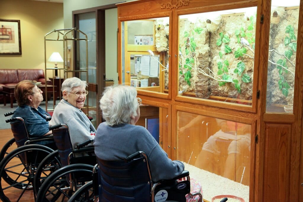 Two elderly individuals in wheelchairs observing an indoor aquarium display.