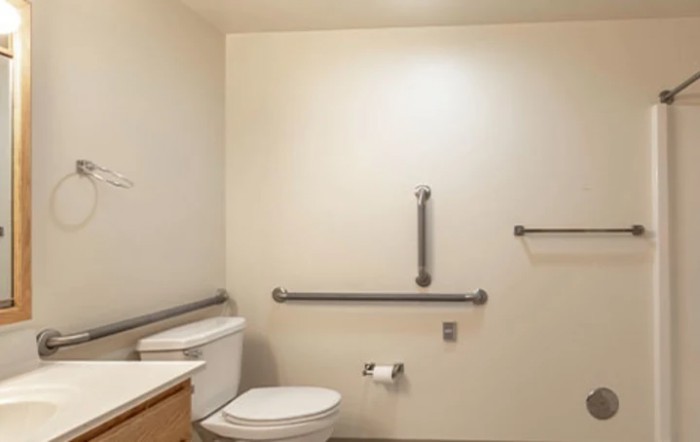 An accessible bathroom with grab bars and a toilet.