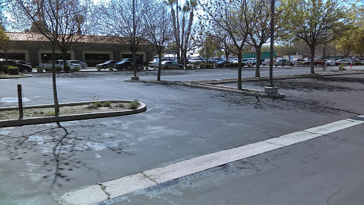 An empty parking lot with trees lined along the sides on a clear day.