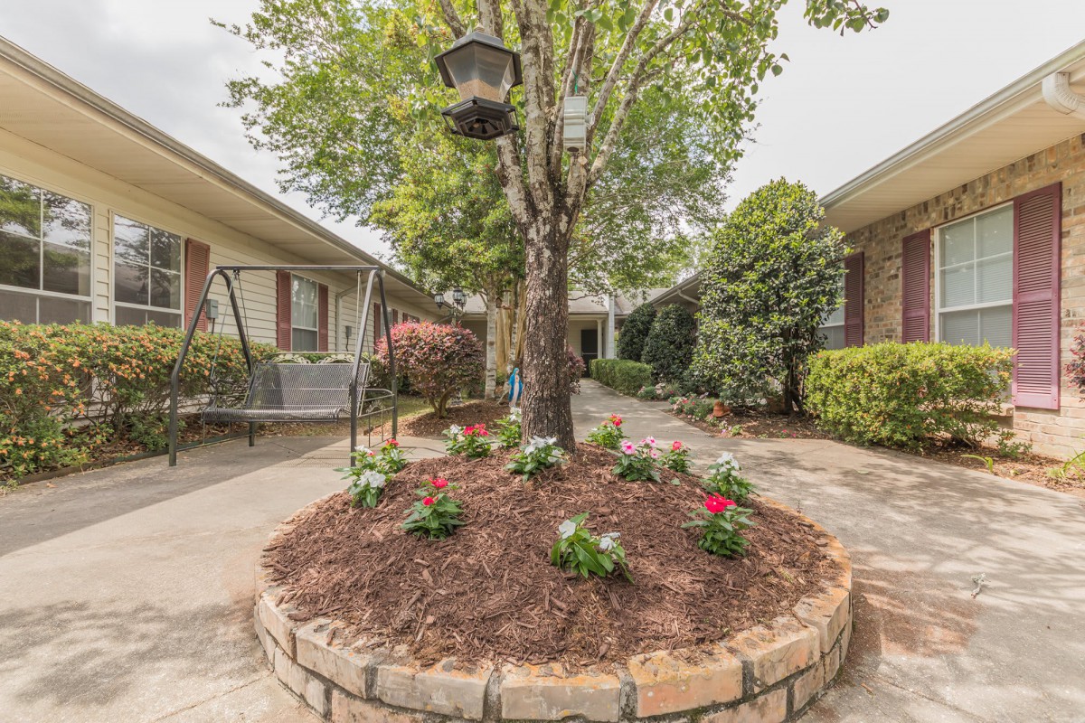 A peaceful courtyard with a central tree and garden bed adorned with flowers, surrounded by residential buildings. A bird feeder hangs from the tree, and a swing is situated nearby.
