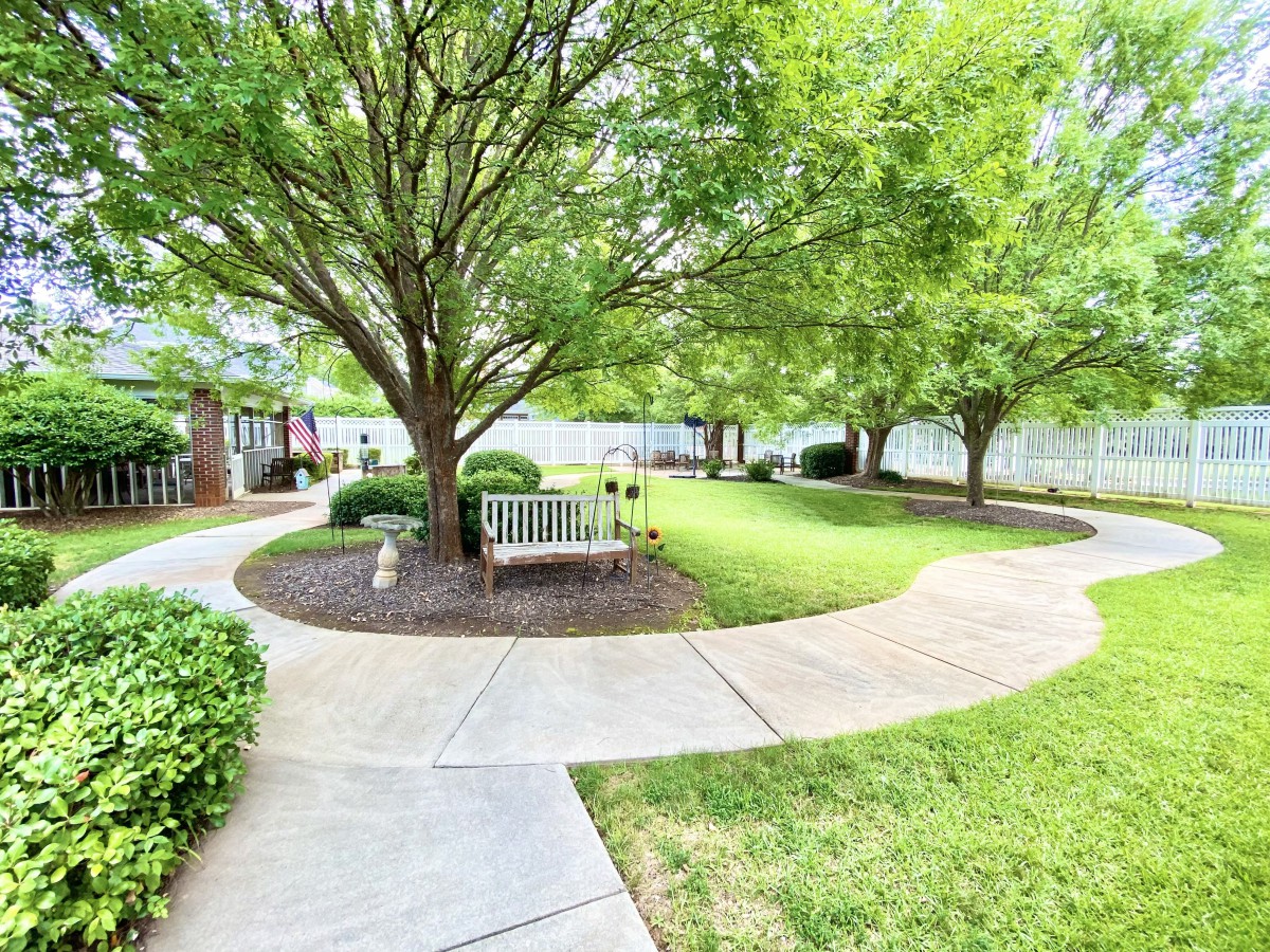 A serene garden with winding pathways and benches surrounded by lush greenery.
