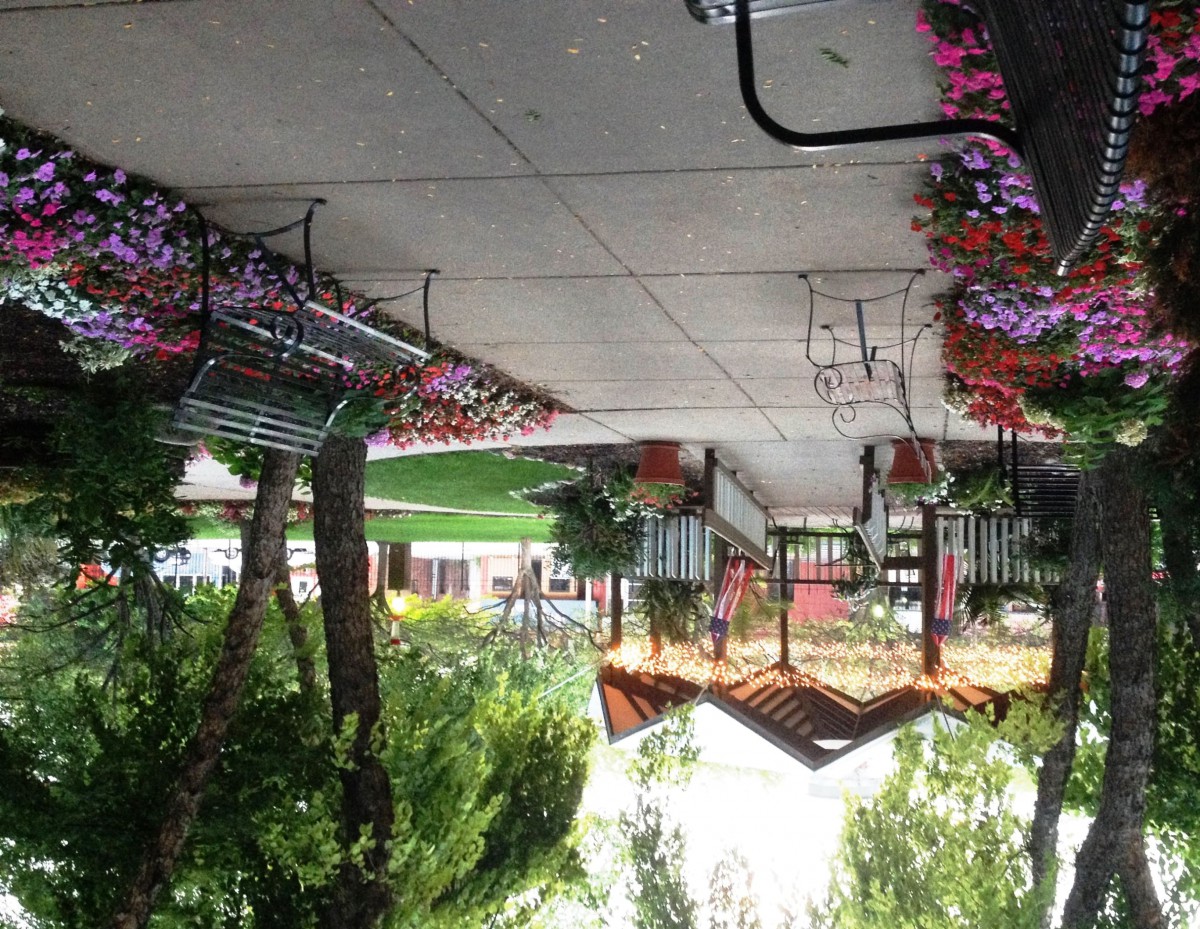 A picturesque outdoor pathway with benches and vibrant flowers lining the sidewalk.