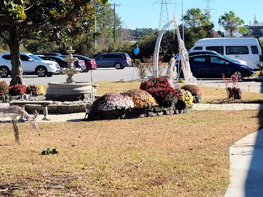 A serene garden scene featuring a fountain and blooming flowers, with parked vehicles in the background.