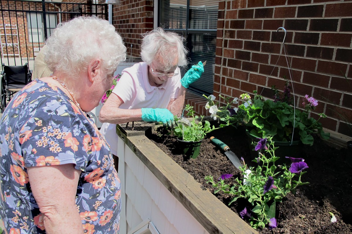 Two elderly women gardening together in a sunny outdoor space.