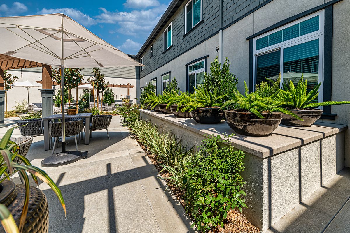 A modern patio with potted plants and outdoor furniture beside a building.