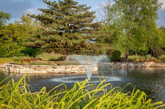 A serene garden pond with a fountain surrounded by lush greenery and trees.