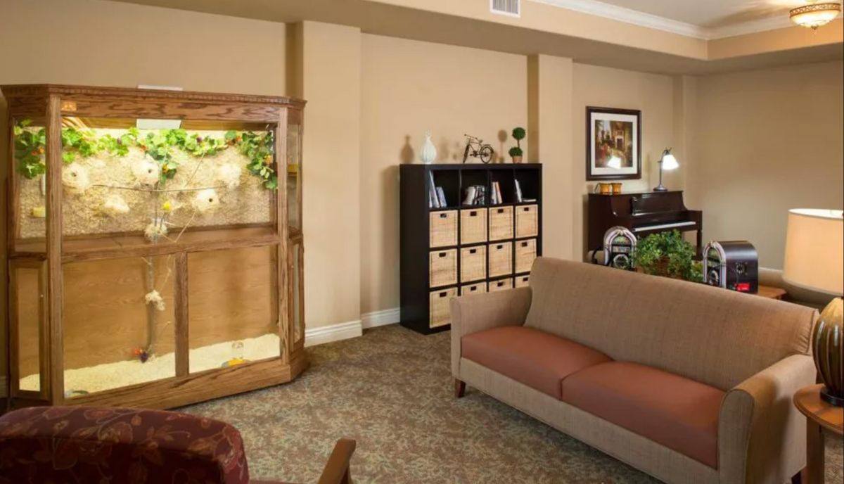 A cozy living room featuring a sofa, wooden cabinet, and storage shelf with decorative items.