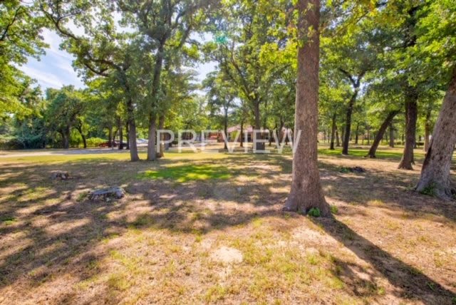 A sunlit park with trees casting shadows on the ground.