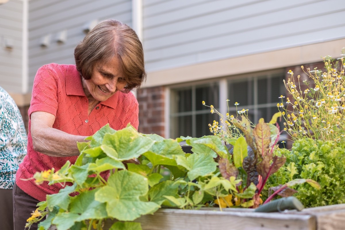 A woman tending to her garden filled with lush plants.