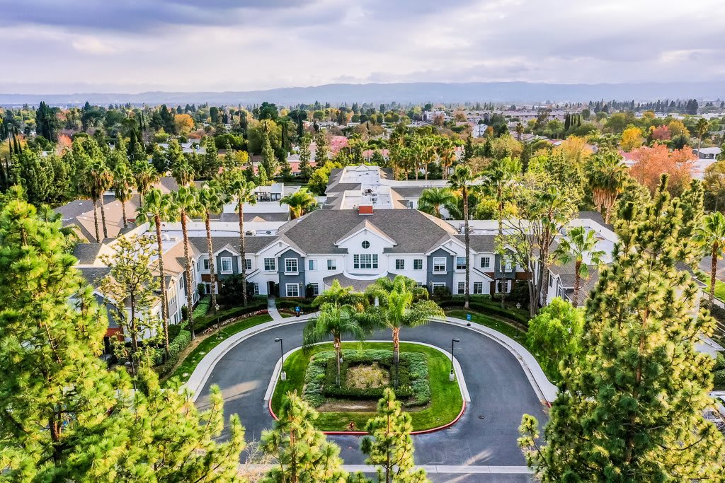 Aerial view of a luxurious mansion surrounded by trees and landscaped gardens.